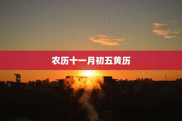 农历十一月初五黄历