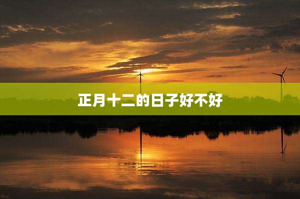 正月十二的日子好不好