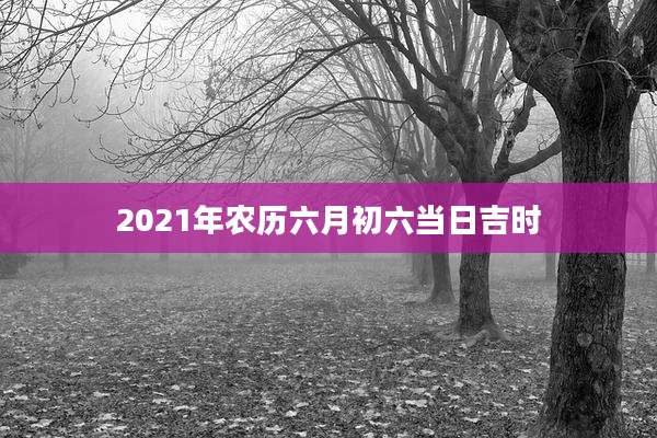 2021年农历六月初六当日吉时