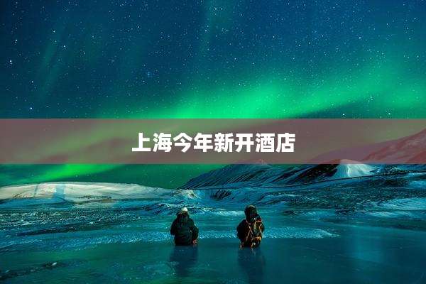 上海今年新开酒店