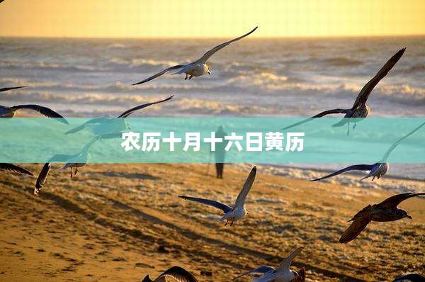 农历十月十六日黄历