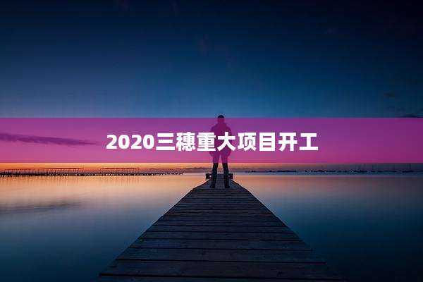 2020三穗重大项目开工