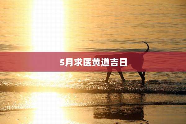 5月求医黄道吉日
