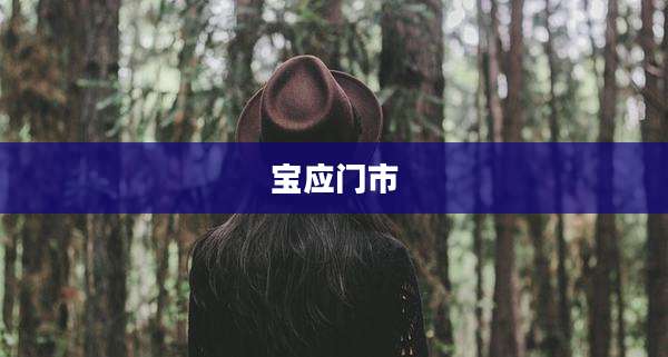 宝应门市