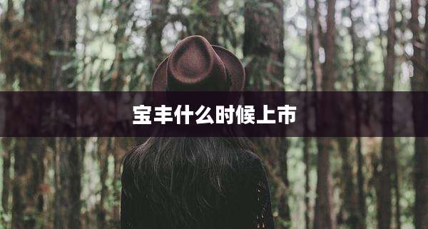 宝丰什么时候上市