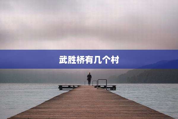 武胜桥有几个村