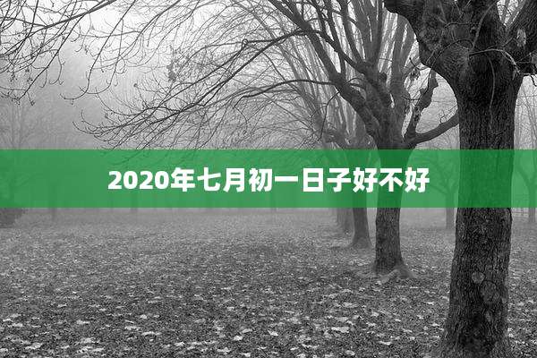 2020年七月初一日子好不好
