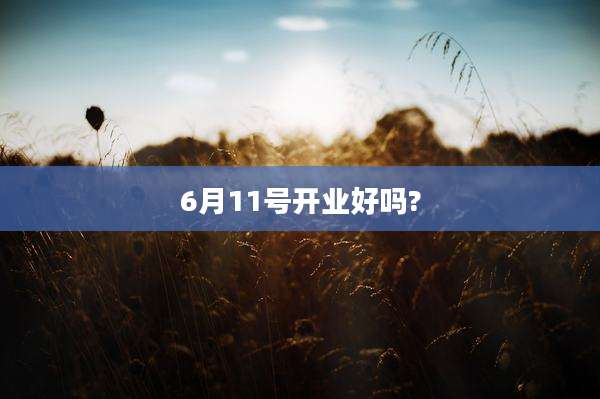 6月11号开业好吗?