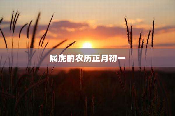 属虎的农历正月初一