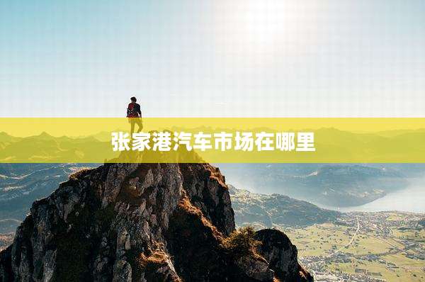 张家港汽车市场在哪里