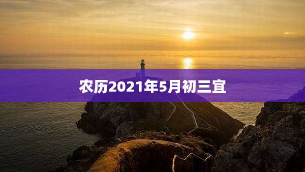 农历2021年5月初三宜
