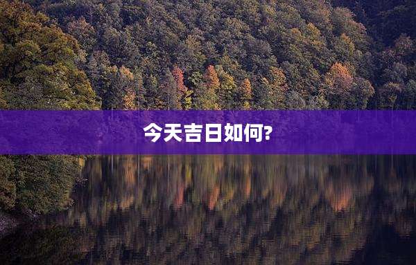 今天吉日如何?