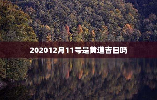 202012月11号是黄道吉日吗