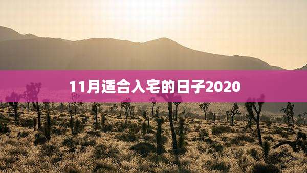 11月适合入宅的日子2020