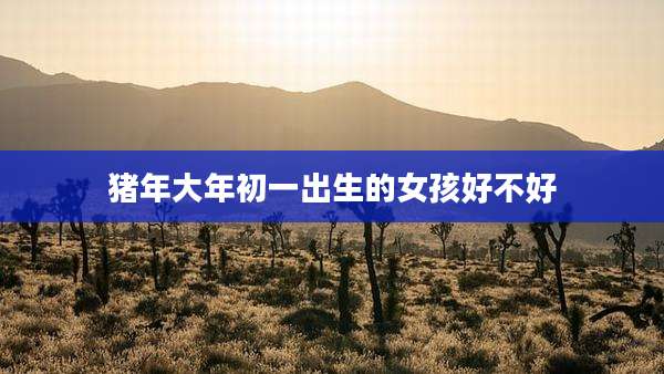 猪年大年初一出生的女孩好不好