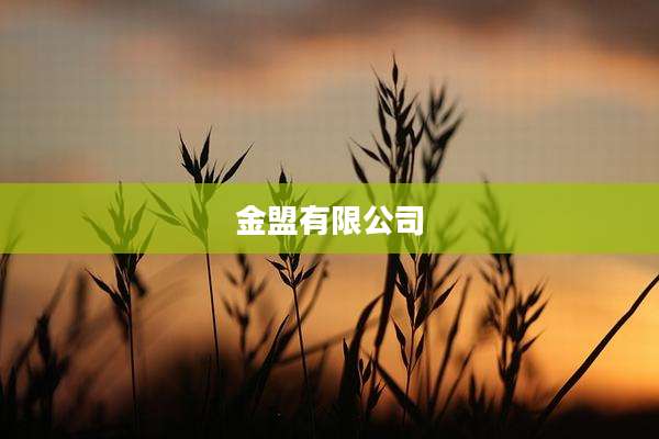 金盟有限公司