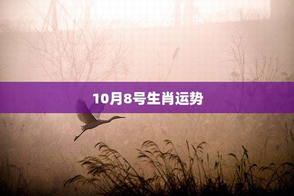 10月8号生肖运势