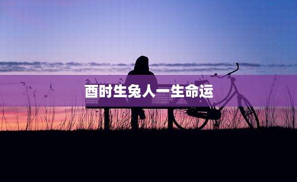 酉时生兔人一生命运