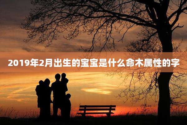 2019年2月出生的宝宝是什么命木属性的字