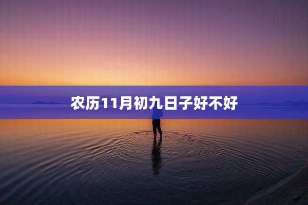 农历11月初九日子好不好