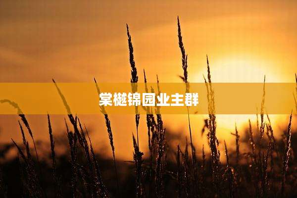 棠樾锦园业主群