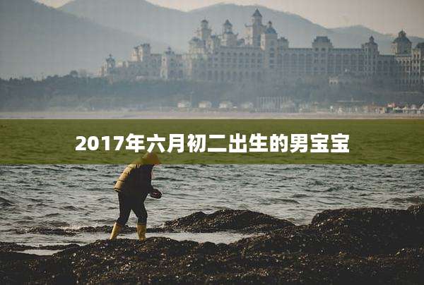 2017年六月初二出生的男宝宝