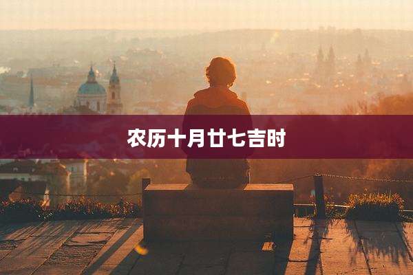 农历十月廿七吉时