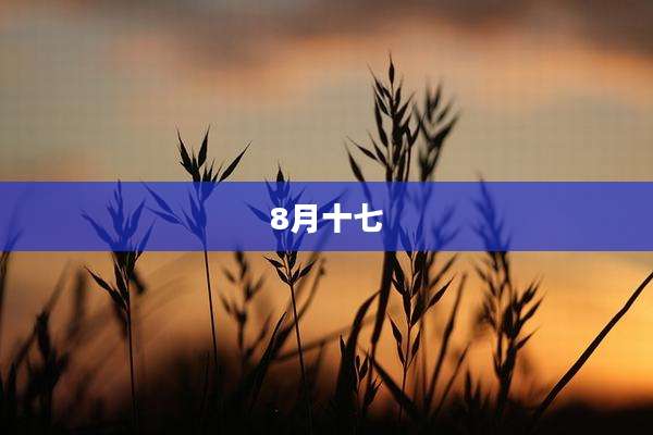 8月十七