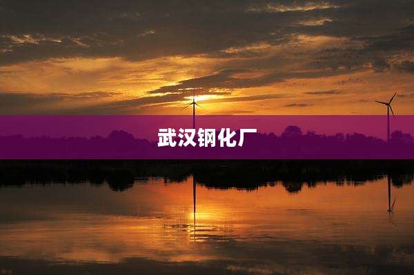 武汉钢化厂