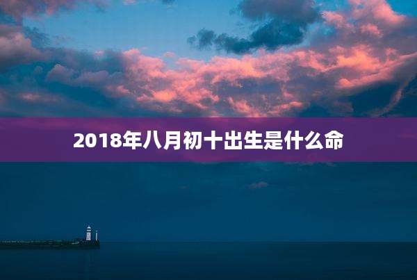 2018年八月初十出生是什么命