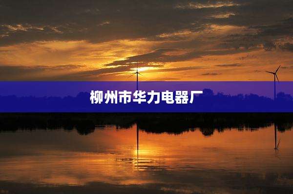 柳州市华力电器厂