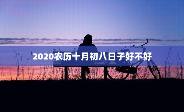2020农历十月初八日子好不好