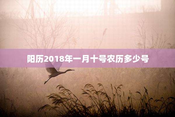 阳历2018年一月十号农历多少号