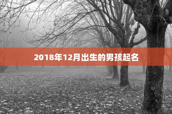 2018年12月出生的男孩起名