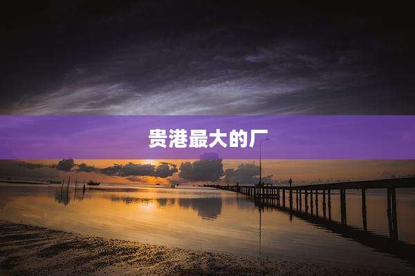 贵港最大的厂
