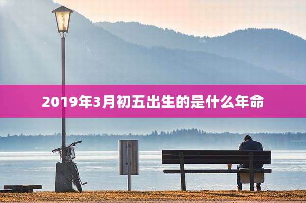 2019年3月初五出生的是什么年命