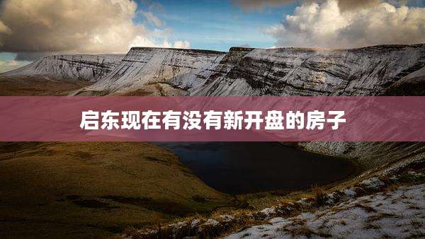 启东现在有没有新开盘的房子