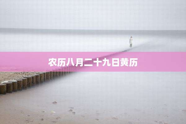 农历八月二十九日黄历