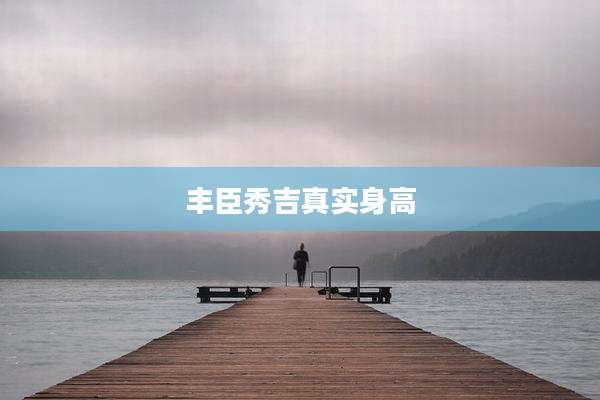 丰臣秀吉真实身高