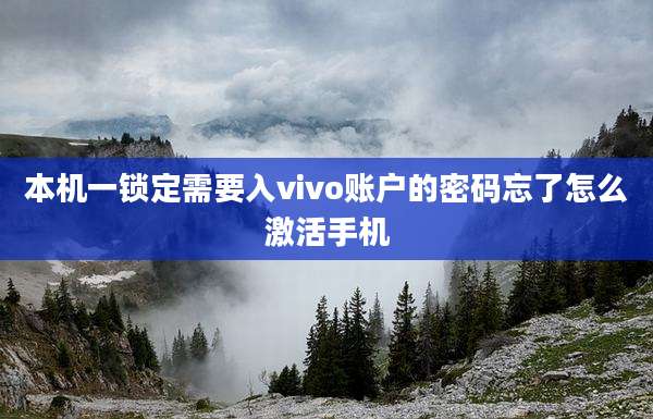 本机一锁定需要入vivo账户的密码忘了怎么激活手机