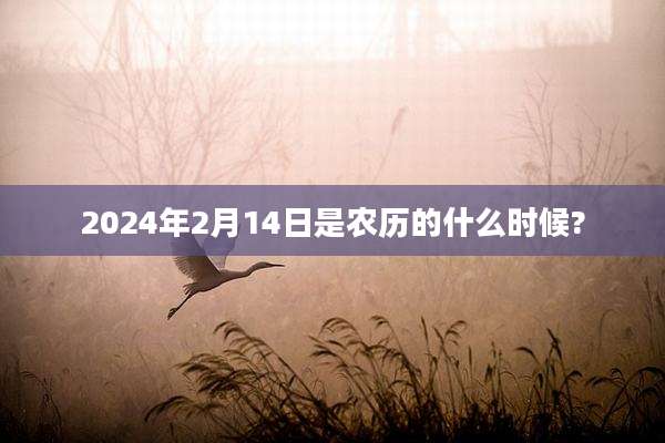 2024年2月14日是农历的什么时候?