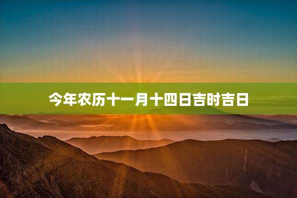 今年农历十一月十四日吉时吉日