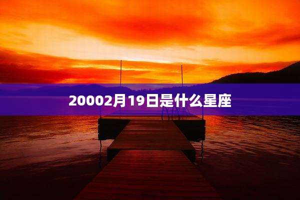 20002月19日是什么星座