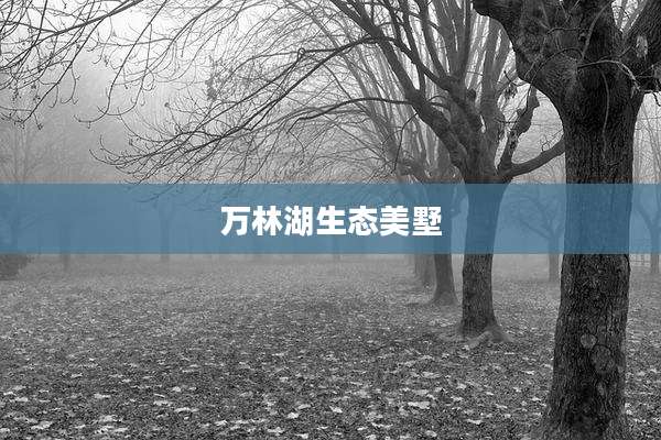 万林湖生态美墅