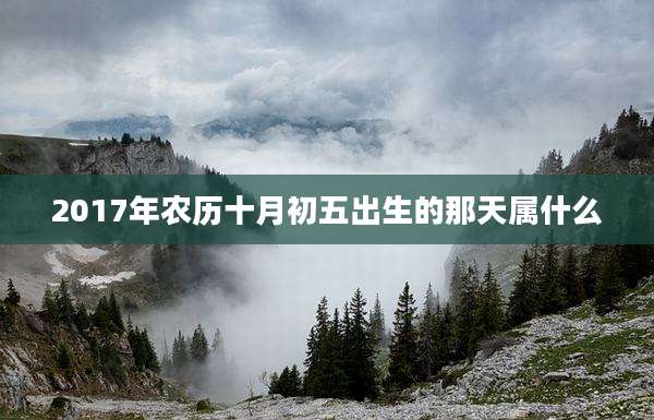 2017年农历十月初五出生的那天属什么