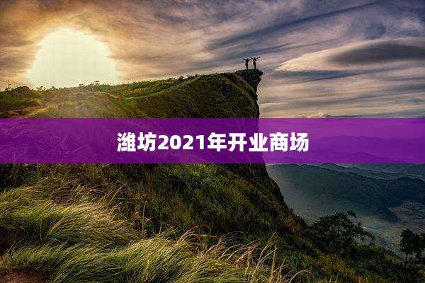 潍坊2021年开业商场