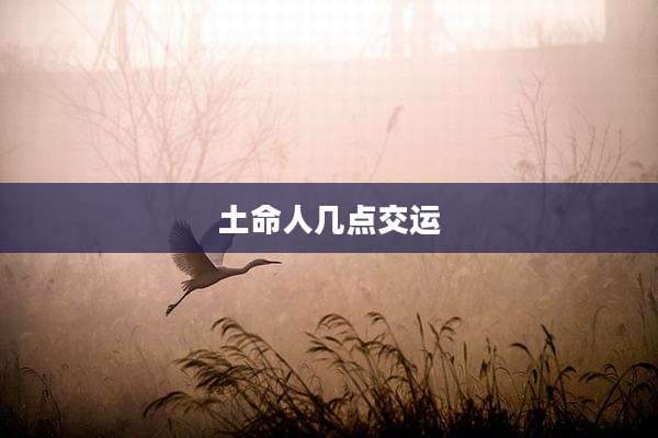 土命人几点交运