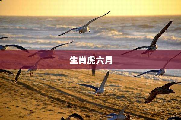 生肖虎六月