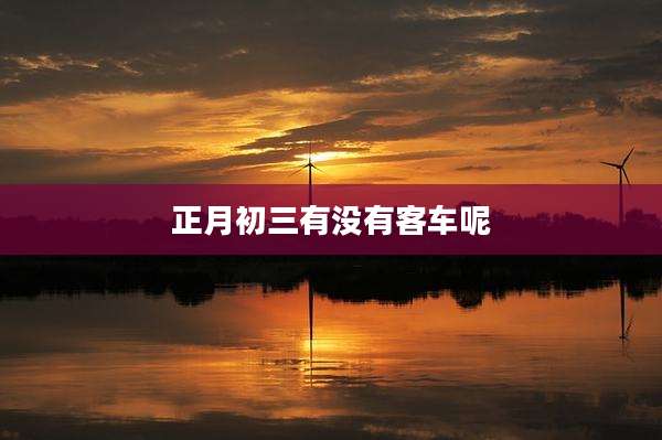 正月初三有没有客车呢
