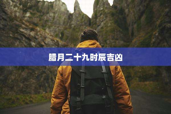 腊月二十九时辰吉凶